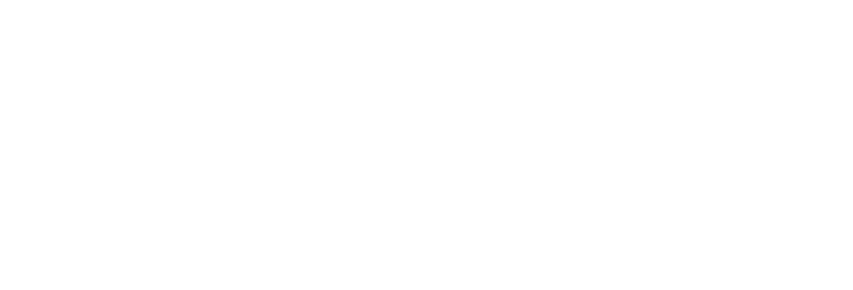 Decade of Legacy · Borobudur Marathon 2026